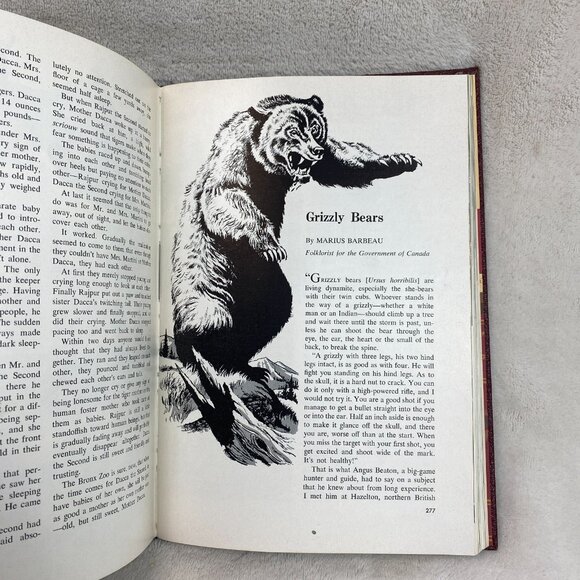 Vintage 1960 Book of Knowledge Annual by Grolier – Illustrated Science & Culture - Picture 8 of 11
